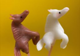 ～江戸時代から続く日本伝統～あめ細工体験会;